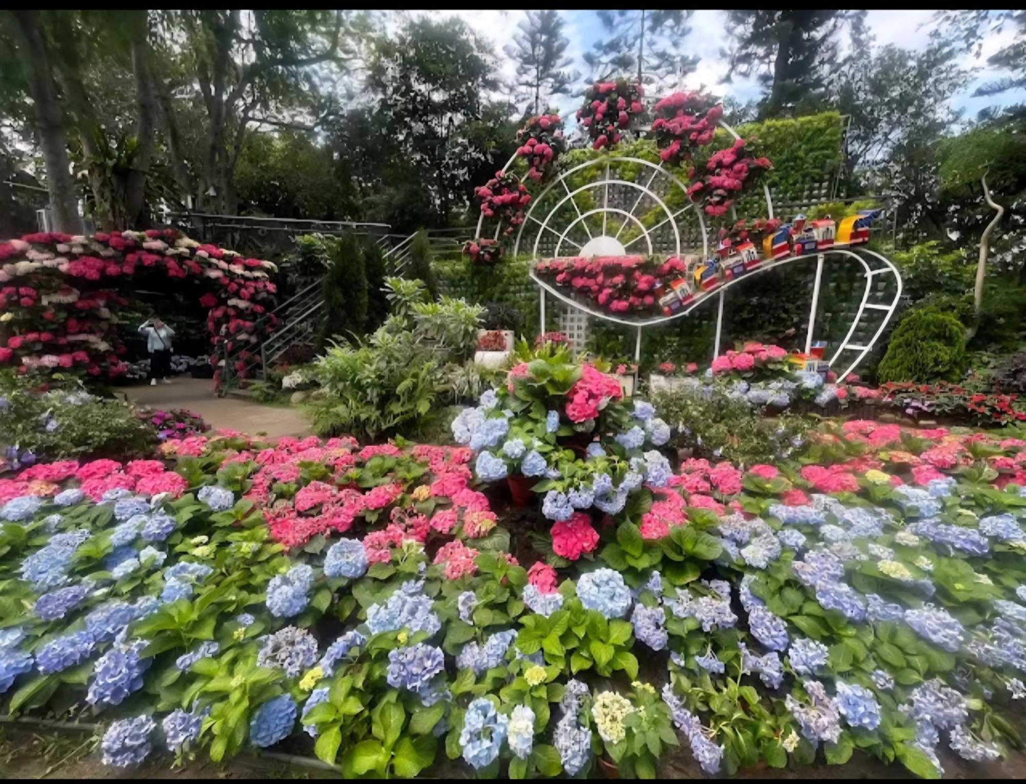 Miaoli Sanyi Shantongyazhu Homestay Екстериор снимка